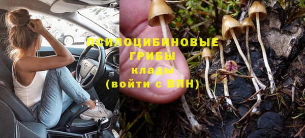 хмурый Карталы