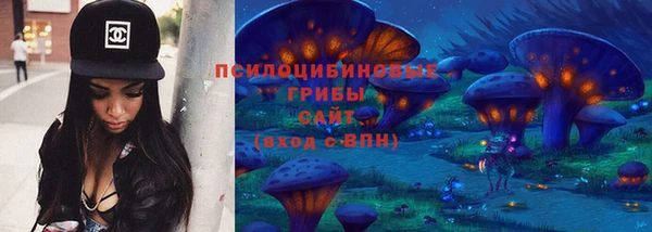 мет Касимов