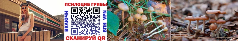 Галлюциногенные грибы Magic Shrooms Володарск