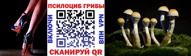 Галлюциногенные грибы Cubensis  Купить закладки  Володарск 